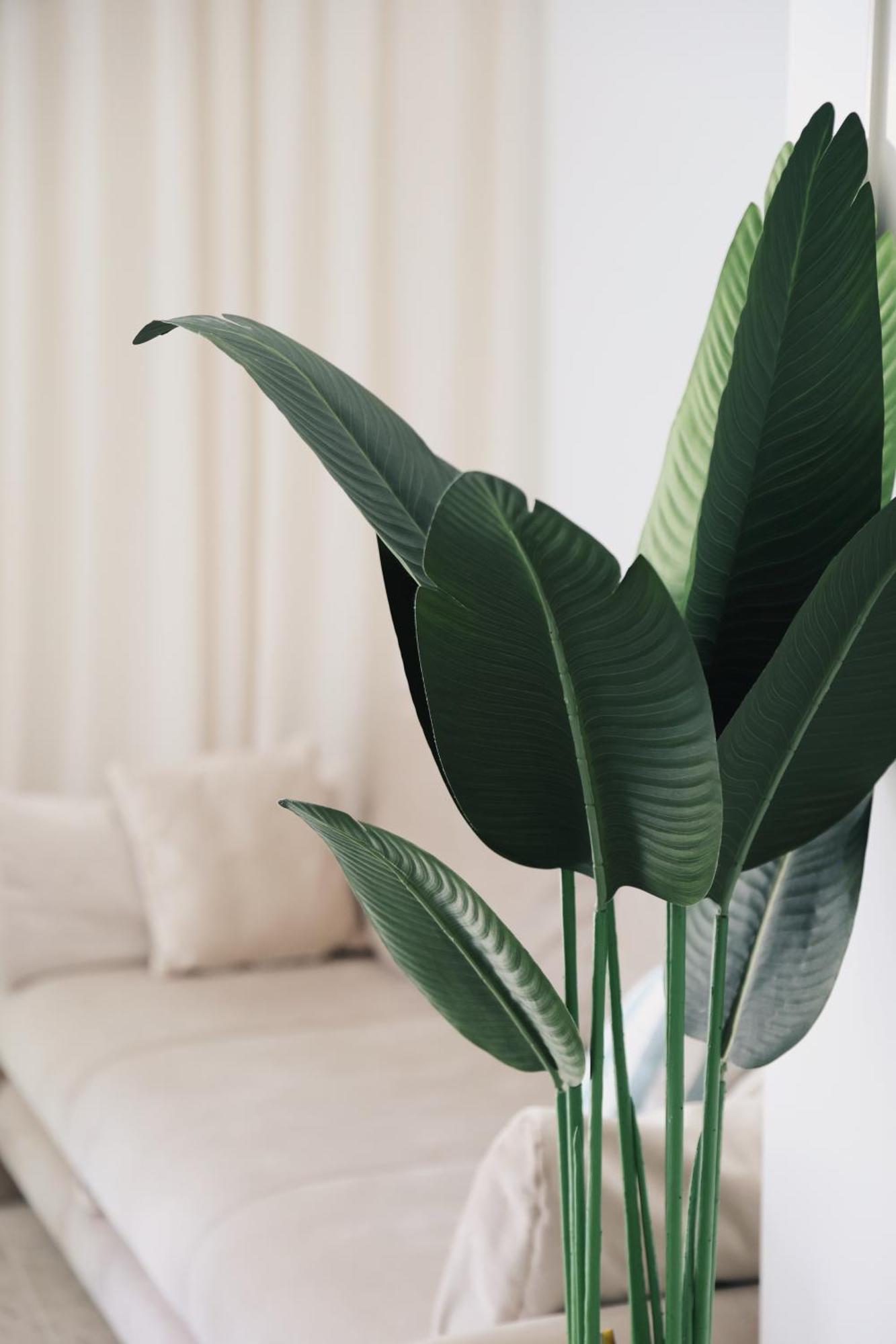 M&k Apartment